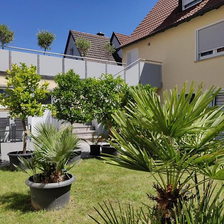 Haus Zum Schlosspark Veitshochheim Exterior photo